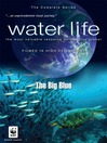 The Big Blue