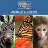 Animals & Insects: Part 4 of 4