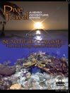 Beautiful Cozumel the Drift Diving Capital of the World