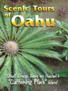Scenic Tours of Oahu