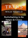 Bushwhacking in the Sangre de Cristos, Colorado