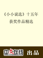 《小小说选》十五年获奖作品精选