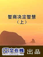 智商决定智慧（上）