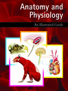 Click here to view title details for Anatomy and Physiology by Richard Mooi
