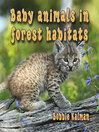 Baby Animals In Forest Habitats