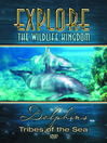 Dolphins