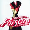 The Best Of- 20 Years of Rock