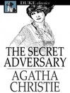 The Secret Adversary