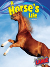 A Horse's Life